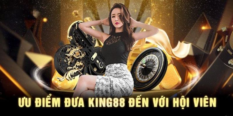 Hỗ trợ khách hàng và đánh giá